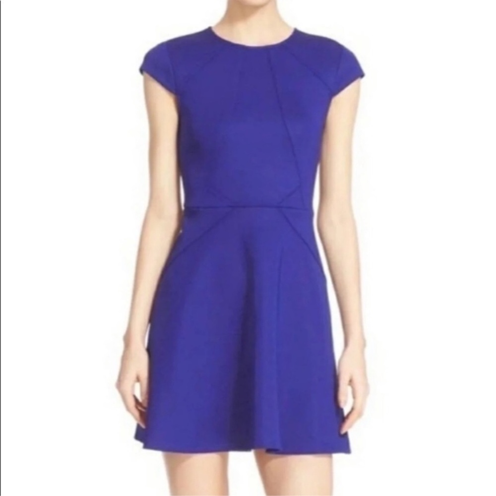 Ted Baker Blue Cap Sleeve Skater Dress Like New US Large EUC